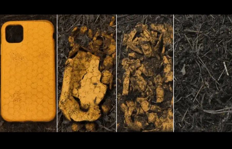 Is the Pela Case Still the Best Eco-Friendly Phone Case in 2025?