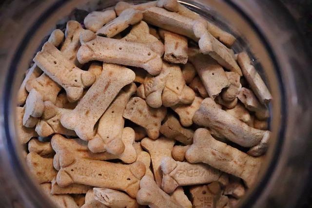 Price and Accessibility: Finding Value in Your Dog's Diet