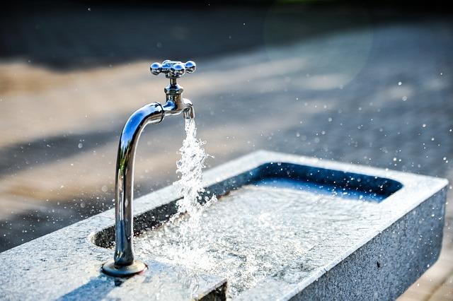 Key Features to Look for in Cat Water Fountains