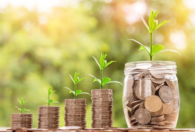 Value for Money: Pricing Strategies and Consumer Perception