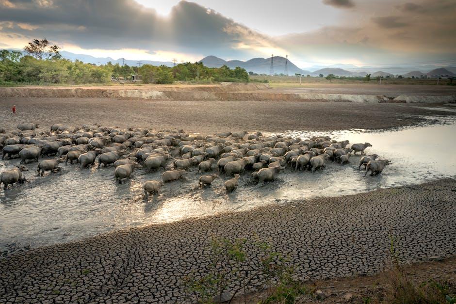 Enhancing Energy Levels with Blue Buffalo Formulas