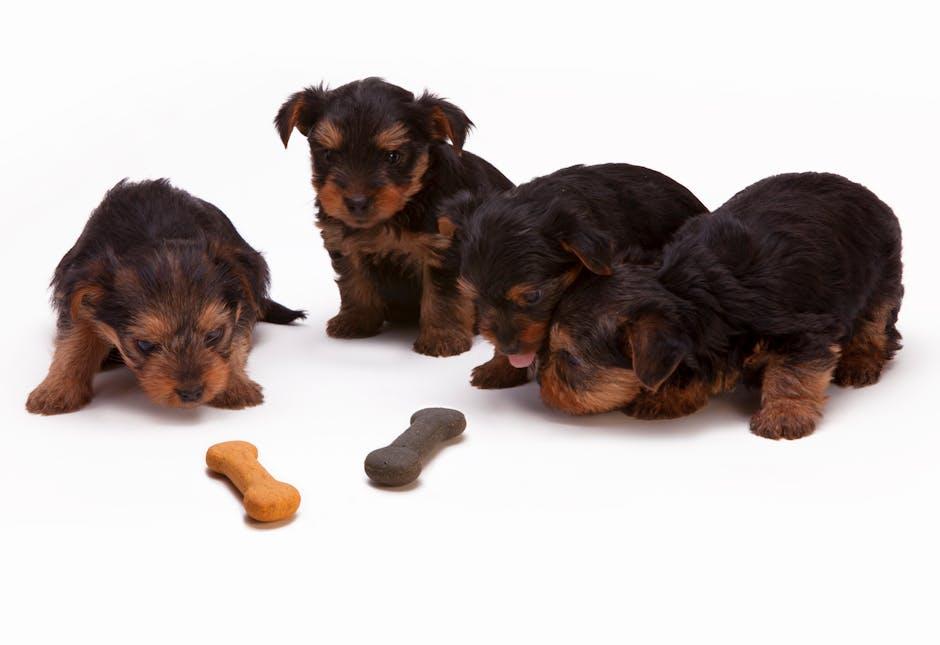 Analyzing⁤ the Nutritional ⁣Benefits ‌for Different Breeds