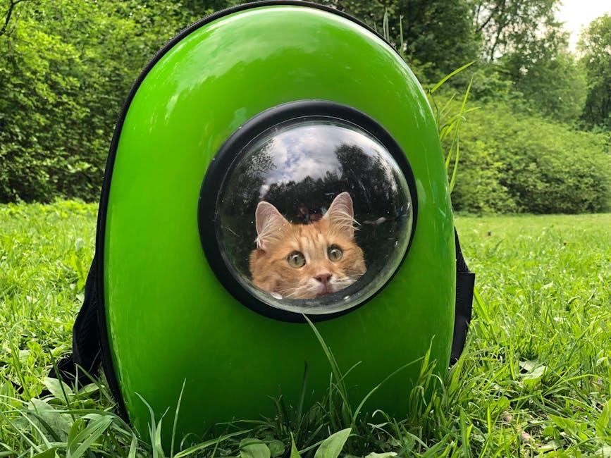 Choosing‌ the Right‌ Material for Your Cat Carrier