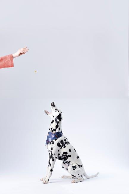 Real-Life Testimonials: Dog Owners⁤ Weigh ⁤In on Performance