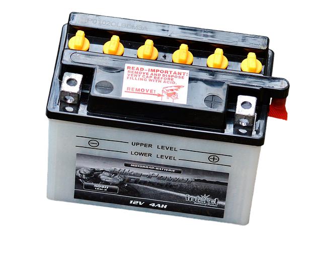 Maximizing Battery Life for Continuous Pet Care