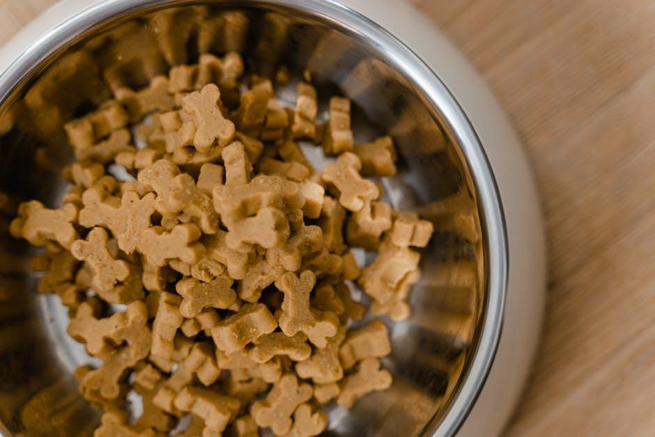 making the Right‍ Choice: tailoring ‍Your Dog’s Diet ⁢to Their Lifestyle