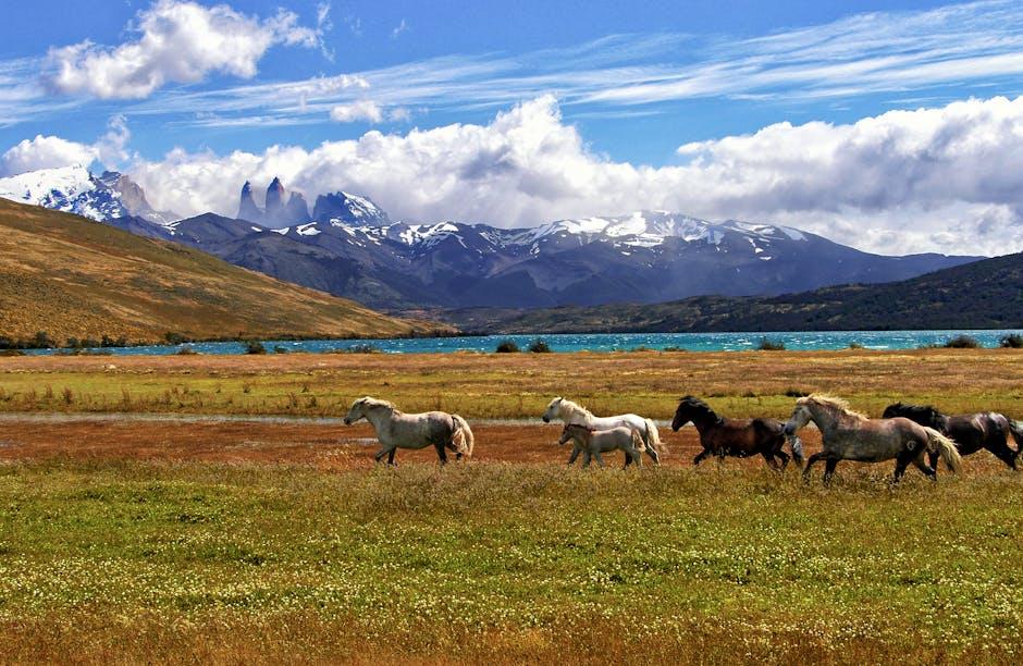 unpacking Sustainable Materials:⁢ Why ⁤Choose Patagonia for Urban Wear