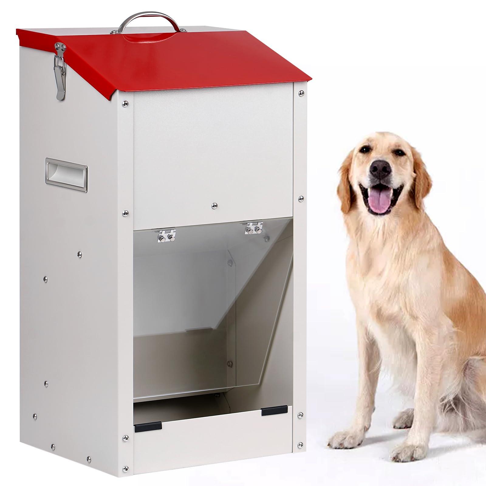 Expert Recommendations for Selecting the Right Feeder for ⁣Your Dog