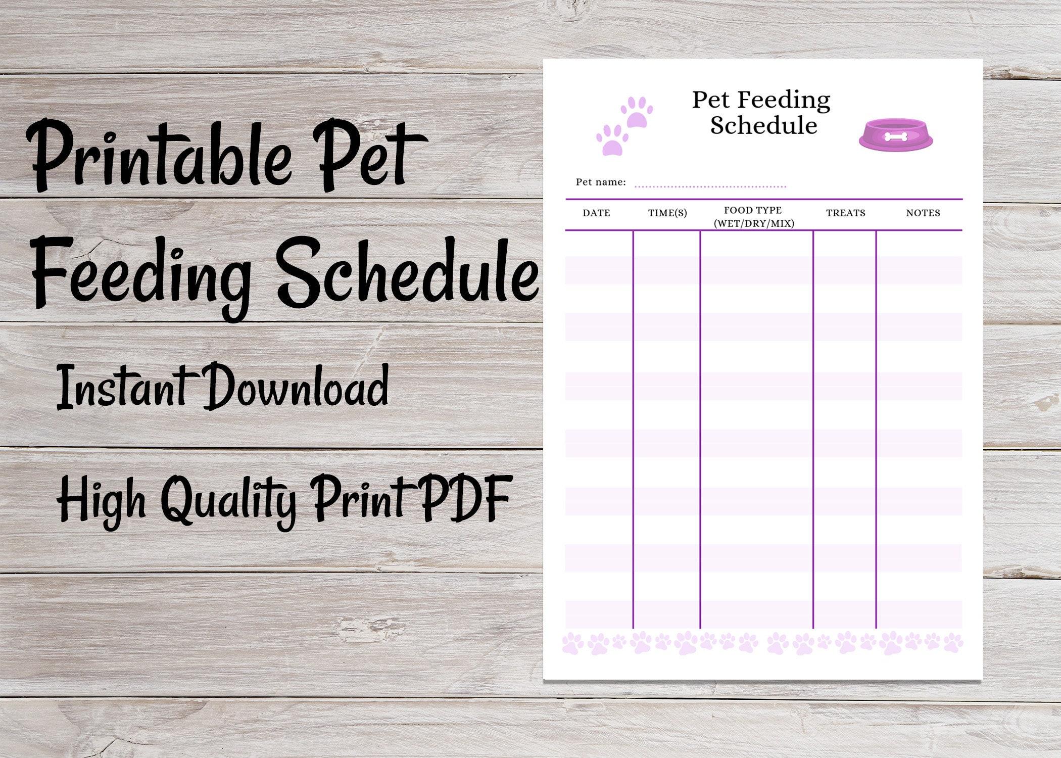 Tips for ⁤Optimizing Your Pet Feeding Routine⁣ with‍ the PetSafe Feeder