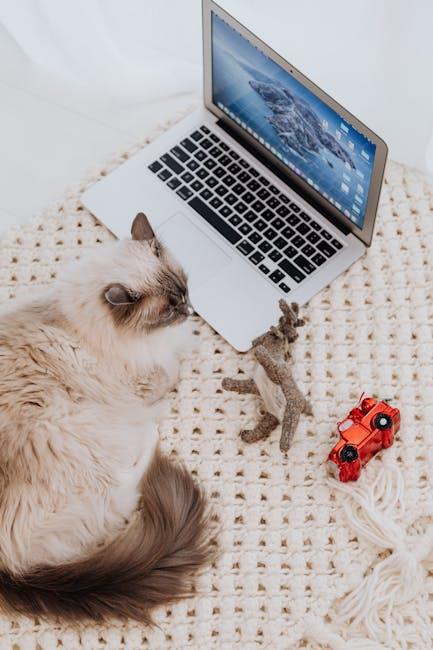 Tech Meets Play: ⁣Innovative Gadgets for Feline Fun