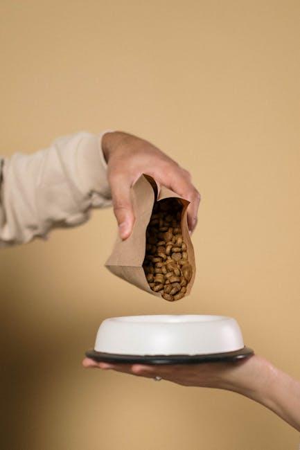 Understanding the Nutritional Needs of Your Dog