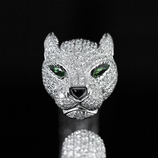 Beyond the Bracelet: understanding the Accessories and⁢ Documentation