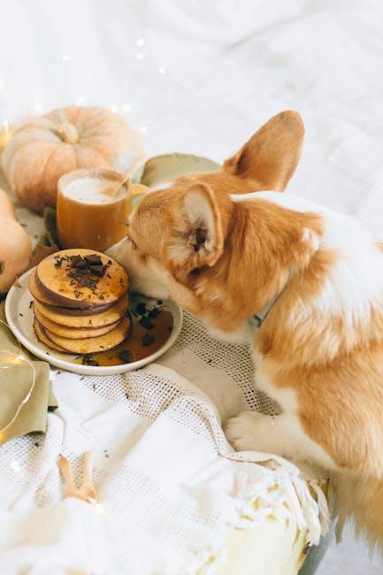 Tips for Transitioning Your small⁣ Breed‍ to Blue Buffalo Kibble