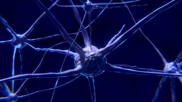 Navigating Dosage​ and Usage for ⁢Optimal Brain⁣ health