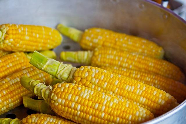 Navigating nutritional ‌Needs: Ingredient Transparency⁤ and Allergen Information