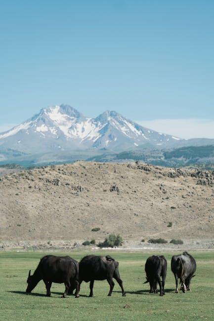 Exploring the Ingredient Integrity of Blue​ Buffalo Dog⁤ Food