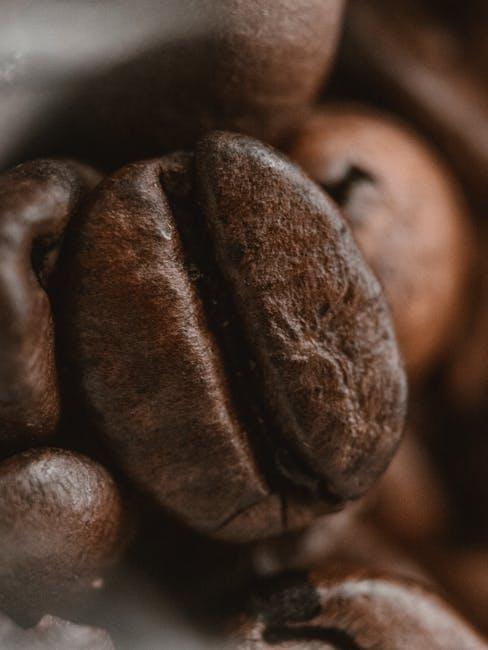 Unpacking Ingredient Quality: What Sets⁢ premium Options ⁢Apart