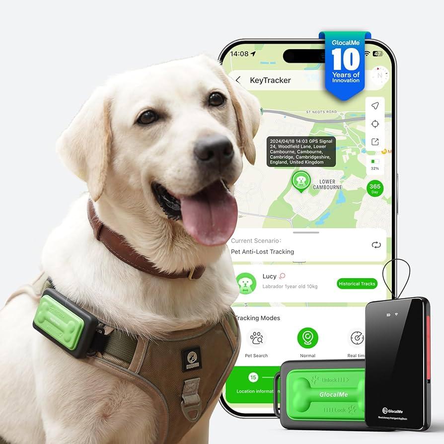 User⁢ Experience⁣ and ⁣App Functionality in Dog GPS⁤ Devices
