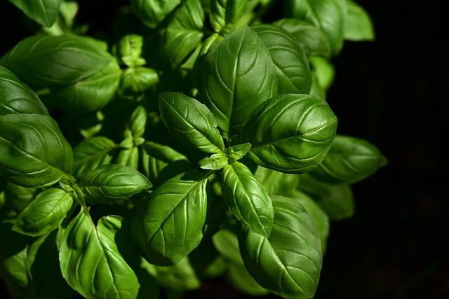 Balancing Taste and Performance:‌ What Matters Most
