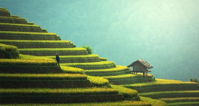The Environmental Impact of⁢ Choosing Sustainably