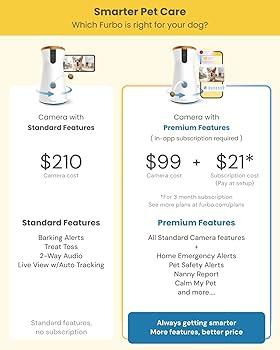 Evaluating the Value:⁤ Is Premium Service Justified?