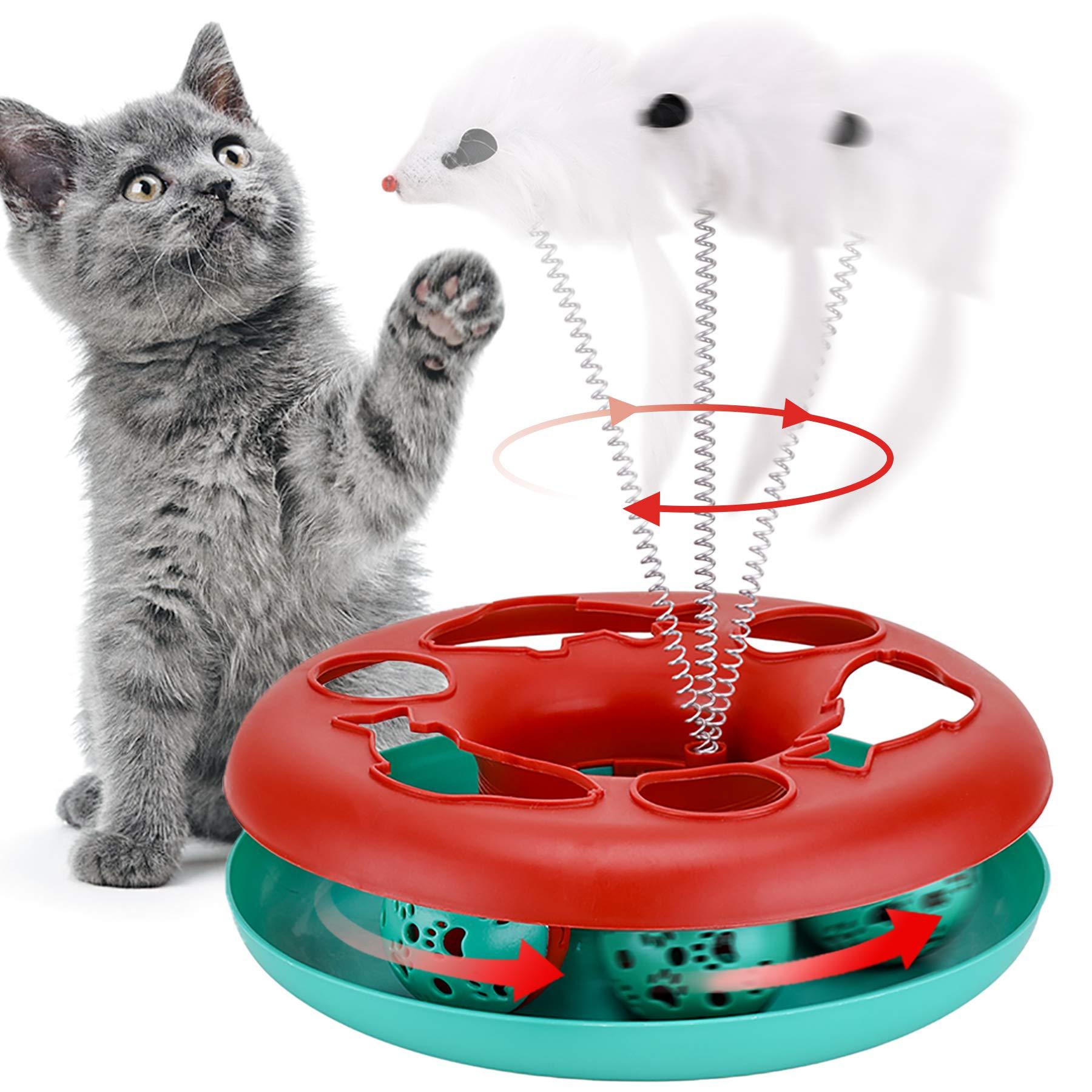 Exploring the Importance of Mental ​Stimulation‍ for Cats