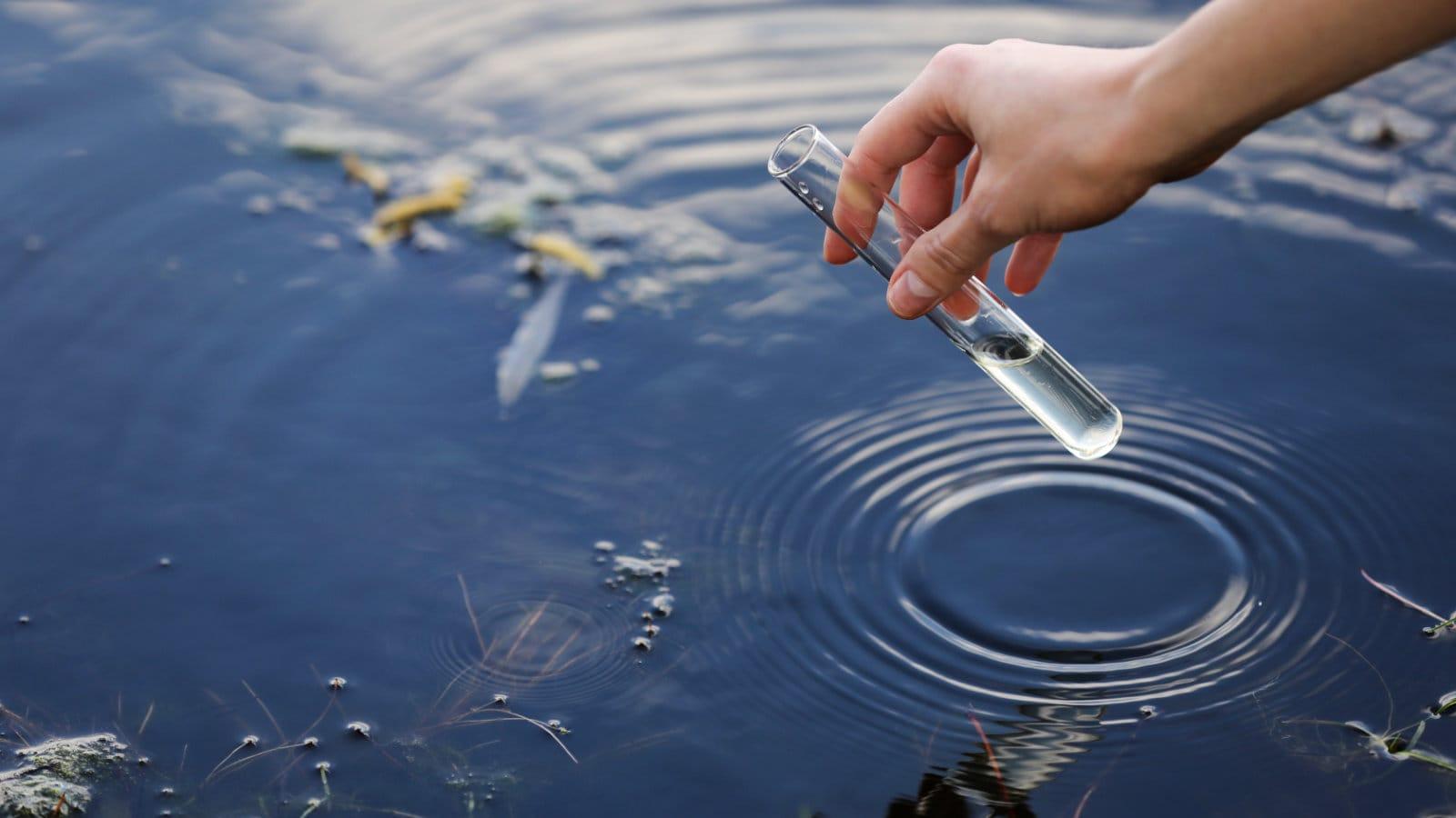 Maintaining Water Quality: The Role of Filters and Regular Cleaning