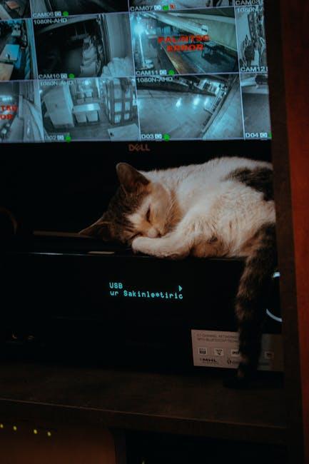 Enhanced Tracking Features for Better⁣ Pet Monitoring