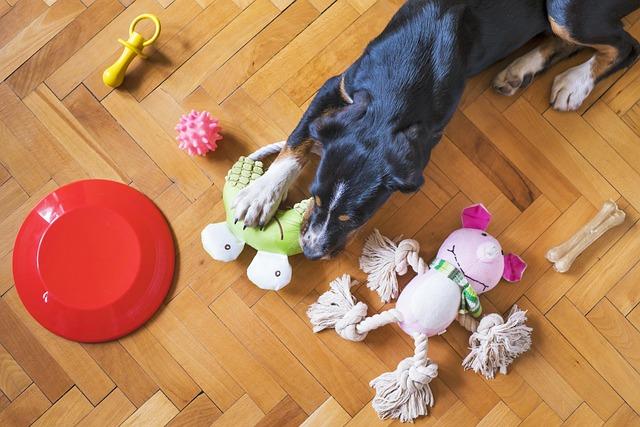 Choosing the Right Chew‍ Toy: Tailoring Options for Your Dog’s ⁤Chewing Habits